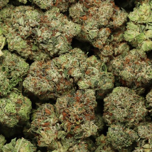 Pink Kush wholesale cannabis