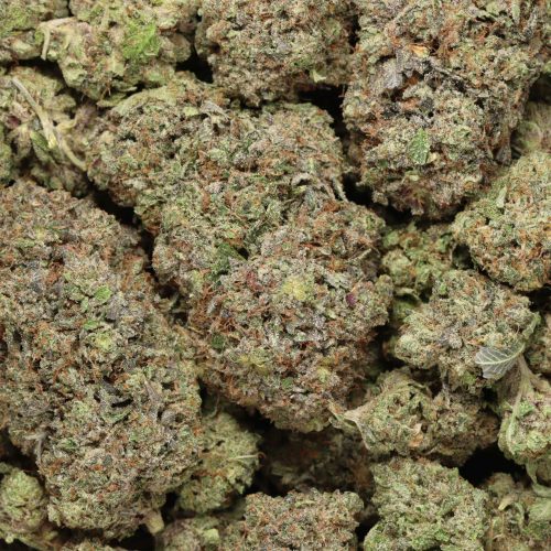 Pink Rozay wholesale cannabis