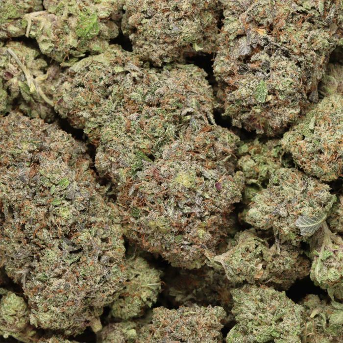 Pink Rozay wholesale cannabis