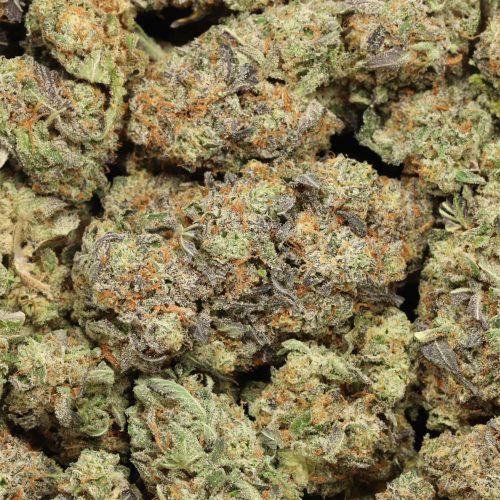 Pure Michigan craft wholesale cannabis