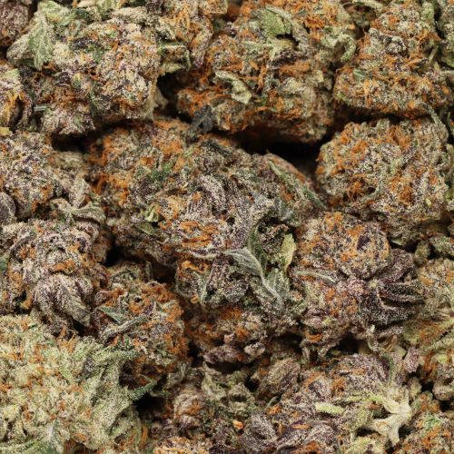 Purple Diamond wholesale cannabis