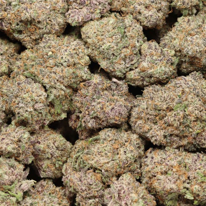 Purple Blizzard craft cannabis