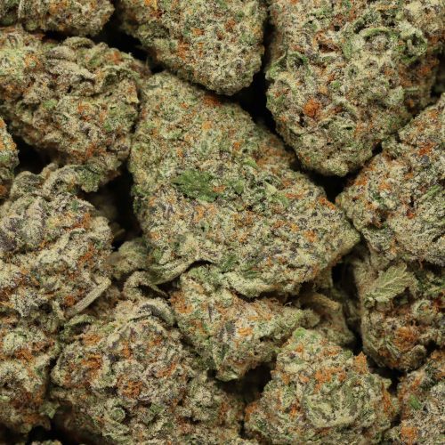 Purple Dank Breath wholesale cannabis