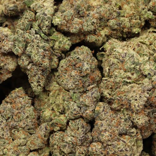 Purple Urkle wholesale cannabis