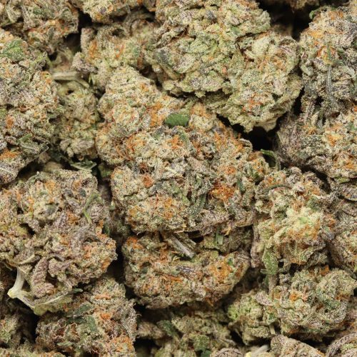 Raspberry Swirl wholesale cannabis