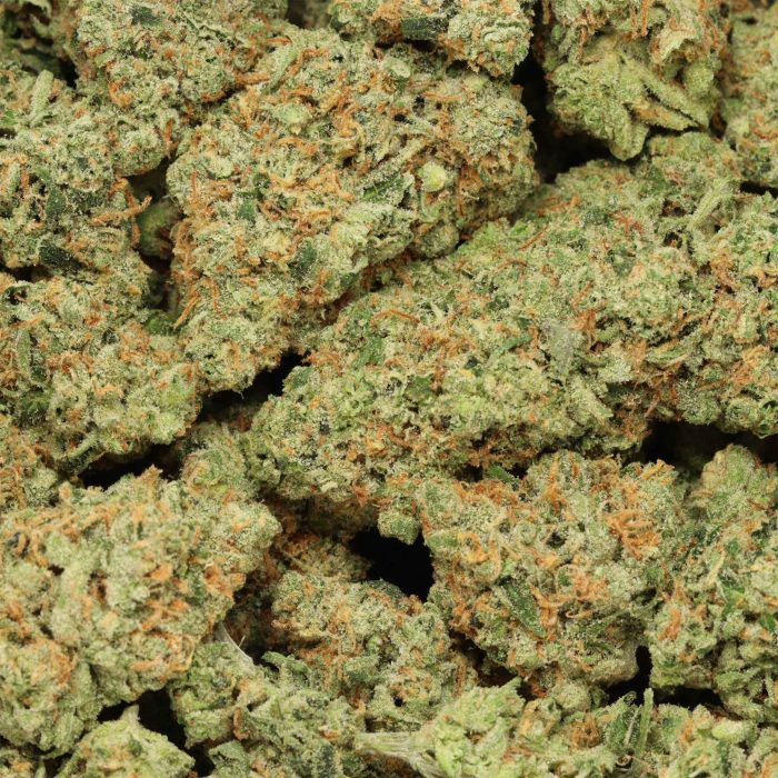 Super Lemon Haze cannabis