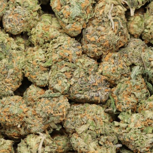 Skwurl Killer wholesale cannabis