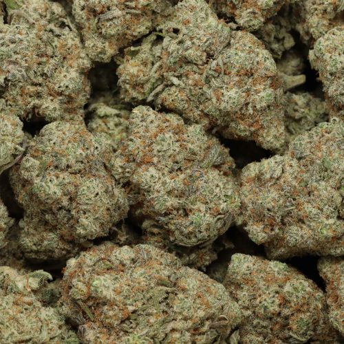 Four Star General cannabis