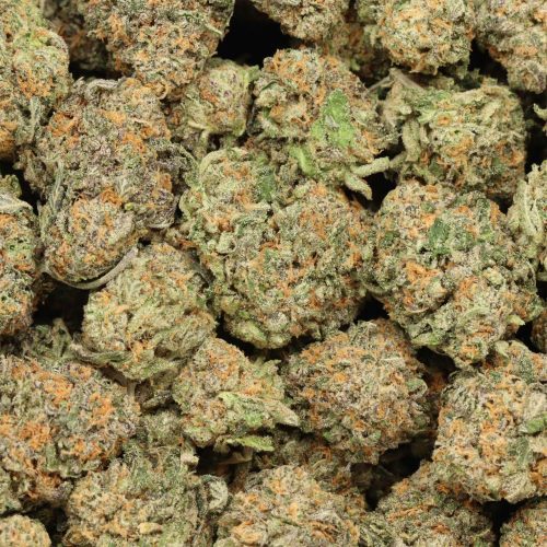 94 Octane cannabis