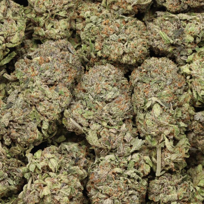 Afghani Pink cannabis