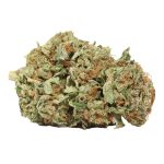 Afghani Kush weed cannabis
