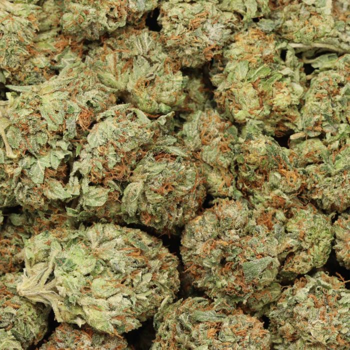 Afghani Kush cannabis wholesale