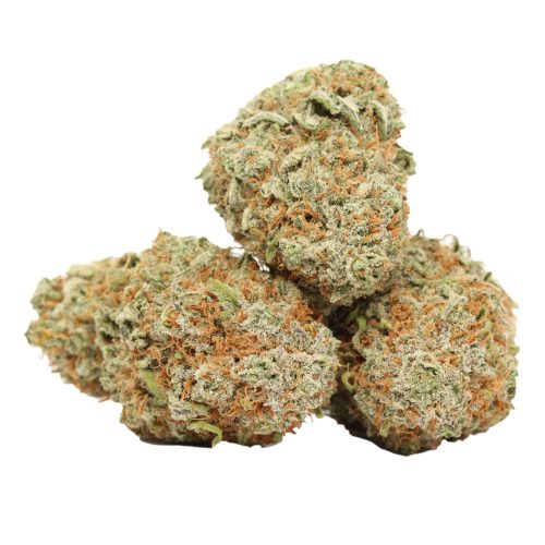 AK-47 strain cannabis