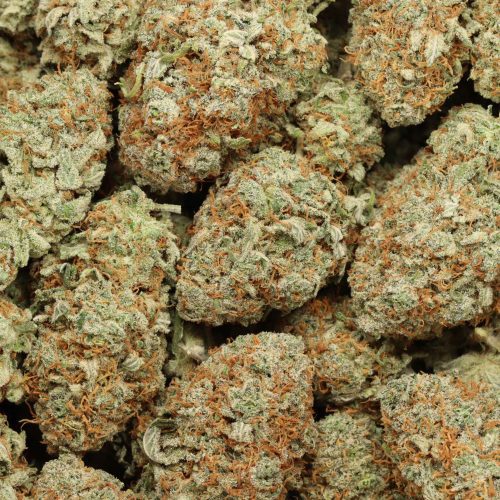 AK-47 cannabis