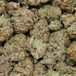 Alien Banana Candy cannabis