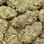 Alien OG cannabis