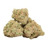 Apple Cheese Quake strain cannabis