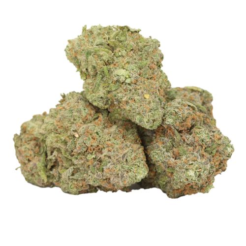 Alaskan Thunder Fuck strain cannabis