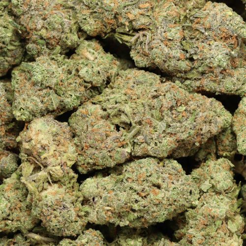 Alaskan Thunder Fuck cannabis wholesale