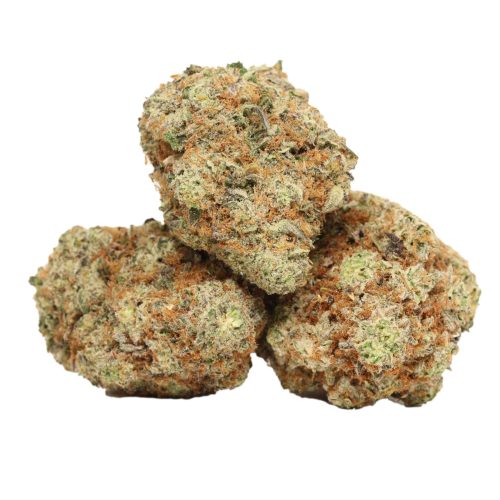 Atomic Blueberry strain cannabis