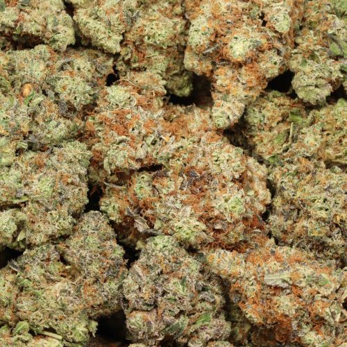 Atomic Blueberry cannabis