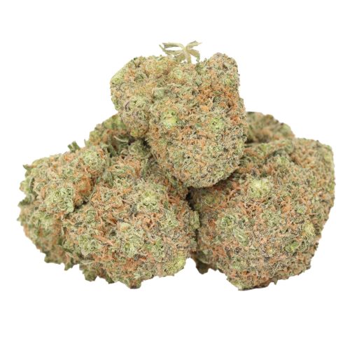 Atomic Blueberry strain cannabis