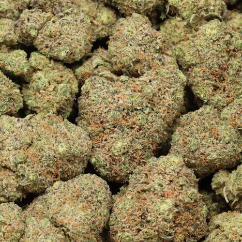 Atomic Blueberry cannabis