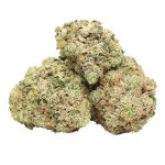 BC Pink Kush strain cannabis