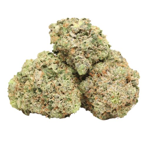 BC Pink Kush strain cannabis