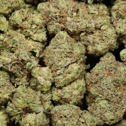 BC Pink Kush cannabis