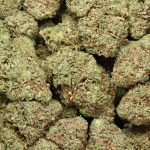 BC Gas cannabis