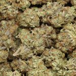 Biscotti cannabis