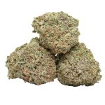 Black Cherry Soda strain cannabis