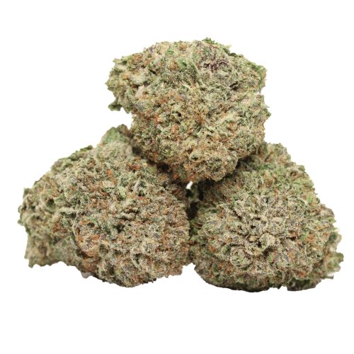 Black Cherry Soda strain cannabis