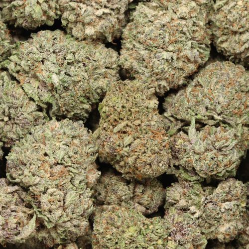 Black Cherry Soda cannabis wholesale