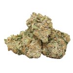 Black Kush strain cannabis