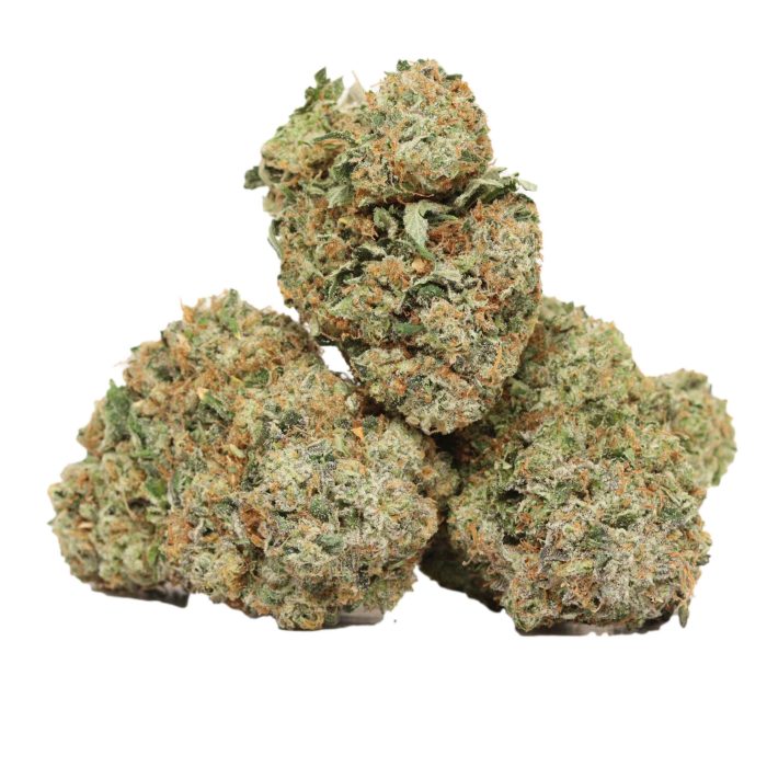 black tuna strain cannabis