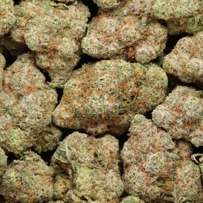 Blueberry Jack cannabis