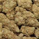 Blue King cannabis