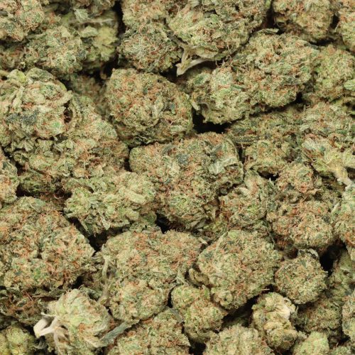 Candyland cannabis wholesale