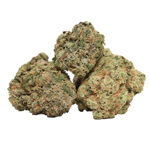 Casey Jones strain cannabis