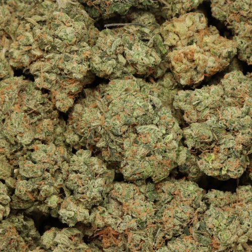 Casey Jones cannabis