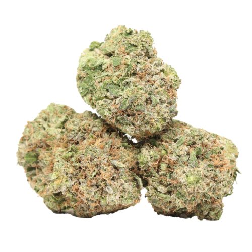 Caviar Pink Kush strain cannabis