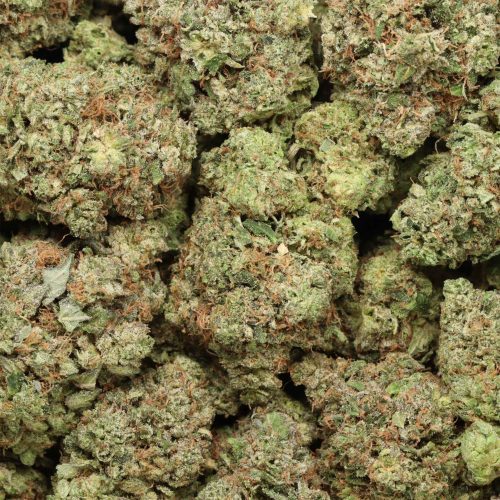 Caviar Pink Kush cannabis