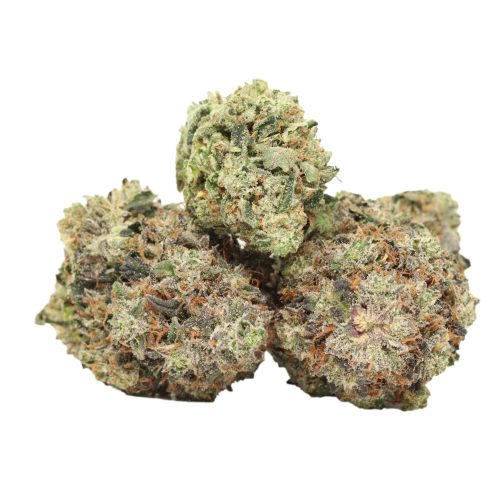 Caviar Pink Kush strain cannabis