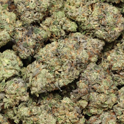 Caviar Pink Kush cannabis