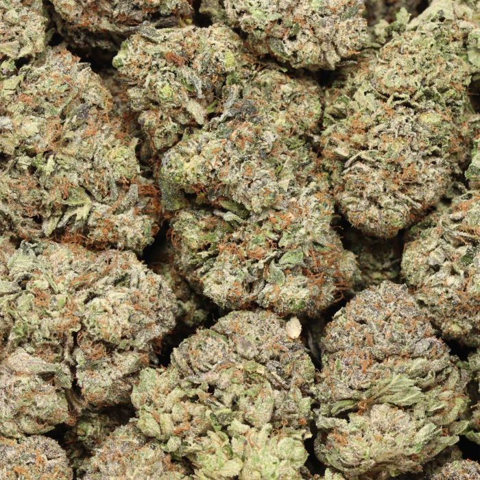 Caviar Pink Kush cannabis