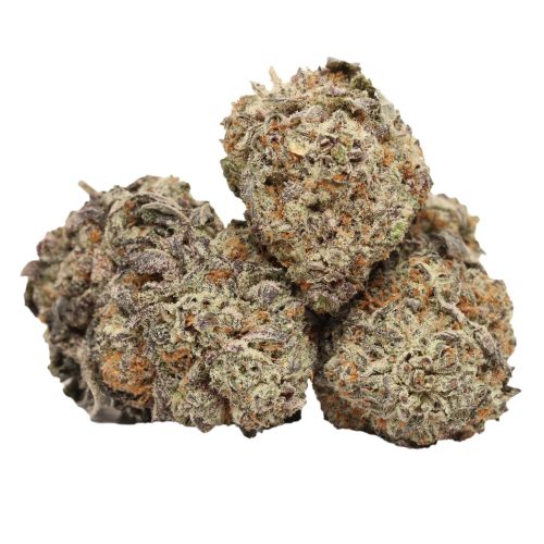 Chemo Kush strain cannabis
