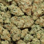 Cookies and Cream cannabis