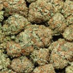 Dior Death Bubba cannabis